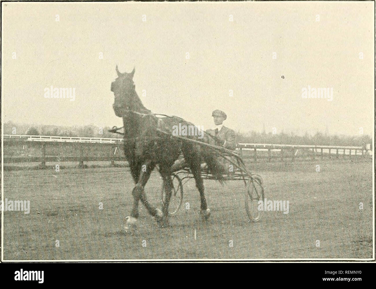 . The driving clubs of greater Boston ... Horse racing; Horses. VERNAG, 2:21 1-2 A Blue Ribbon Trotter in Metropolitan Club Matinees of 1914. Owned and Driven by Edgar F. Power. Please note that these images are extracted from scanned page images that may have been digitally enhanced for readability - coloration and appearance of these illustrations may not perfectly resemble the original work.. Linnehan, John William, 1860-, ed; Cogswell, Edward Everett, 1864-, joint ed. [Boston, Press of Atlantic Printing Company] Stock Photo