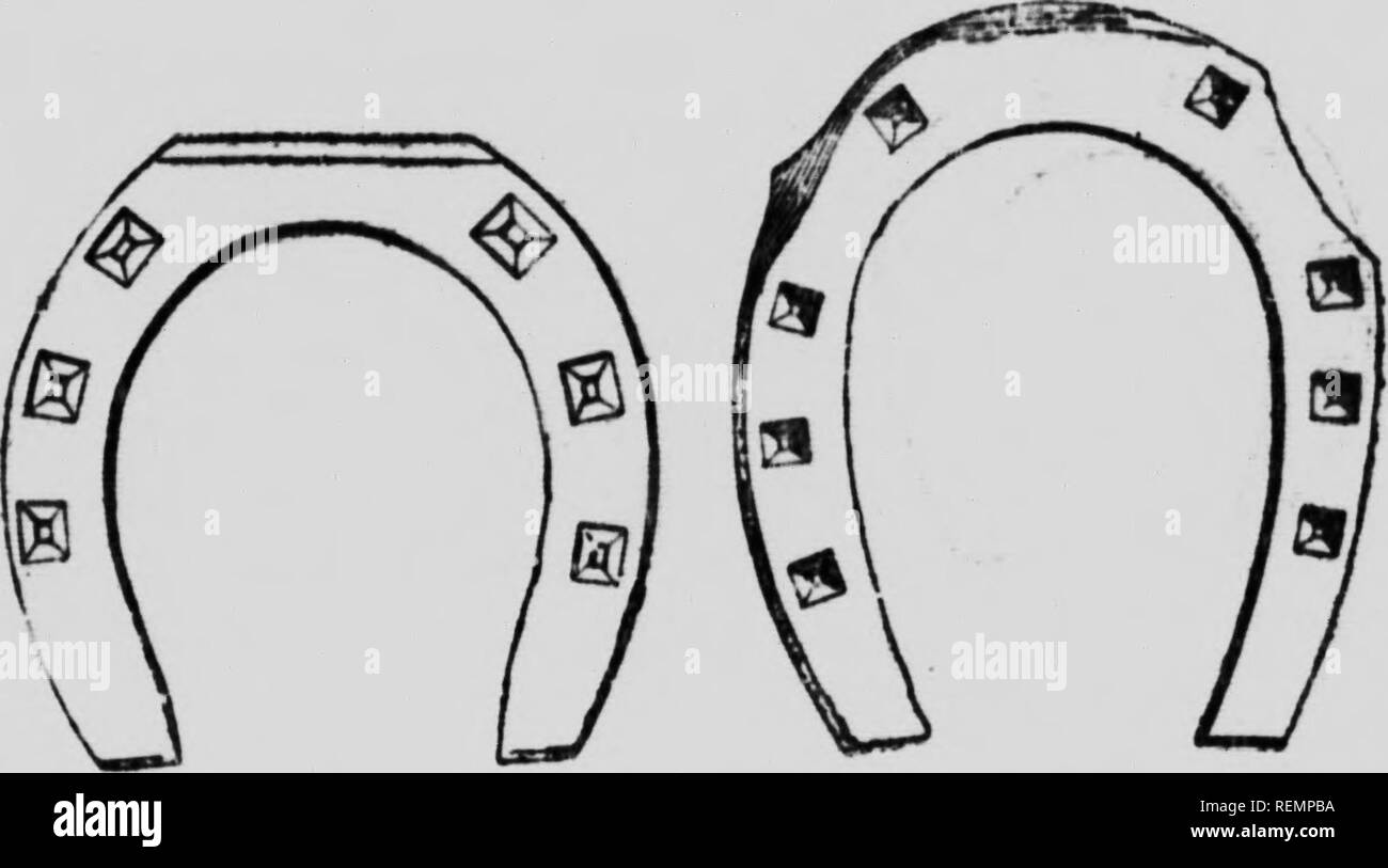 bottes talon biseauté