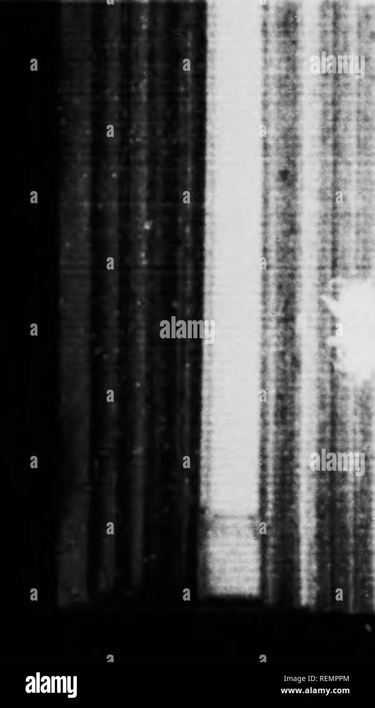 The Strawberry Statement High Resolution Stock Photography And Images Alamy