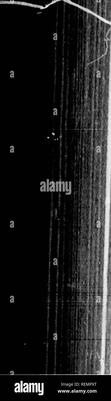 Vcw High Resolution Stock Photography And Images Alamy