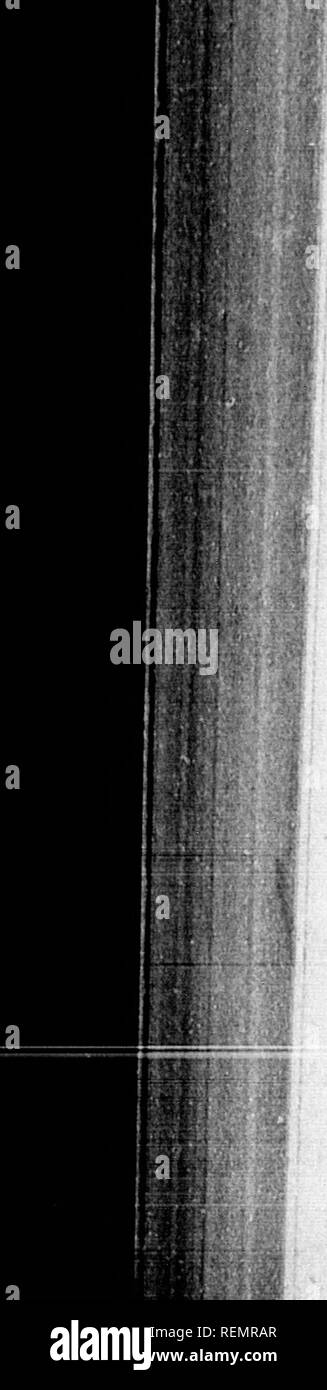 Page 3 Ts 8 1 High Resolution Stock Photography And Images Alamy