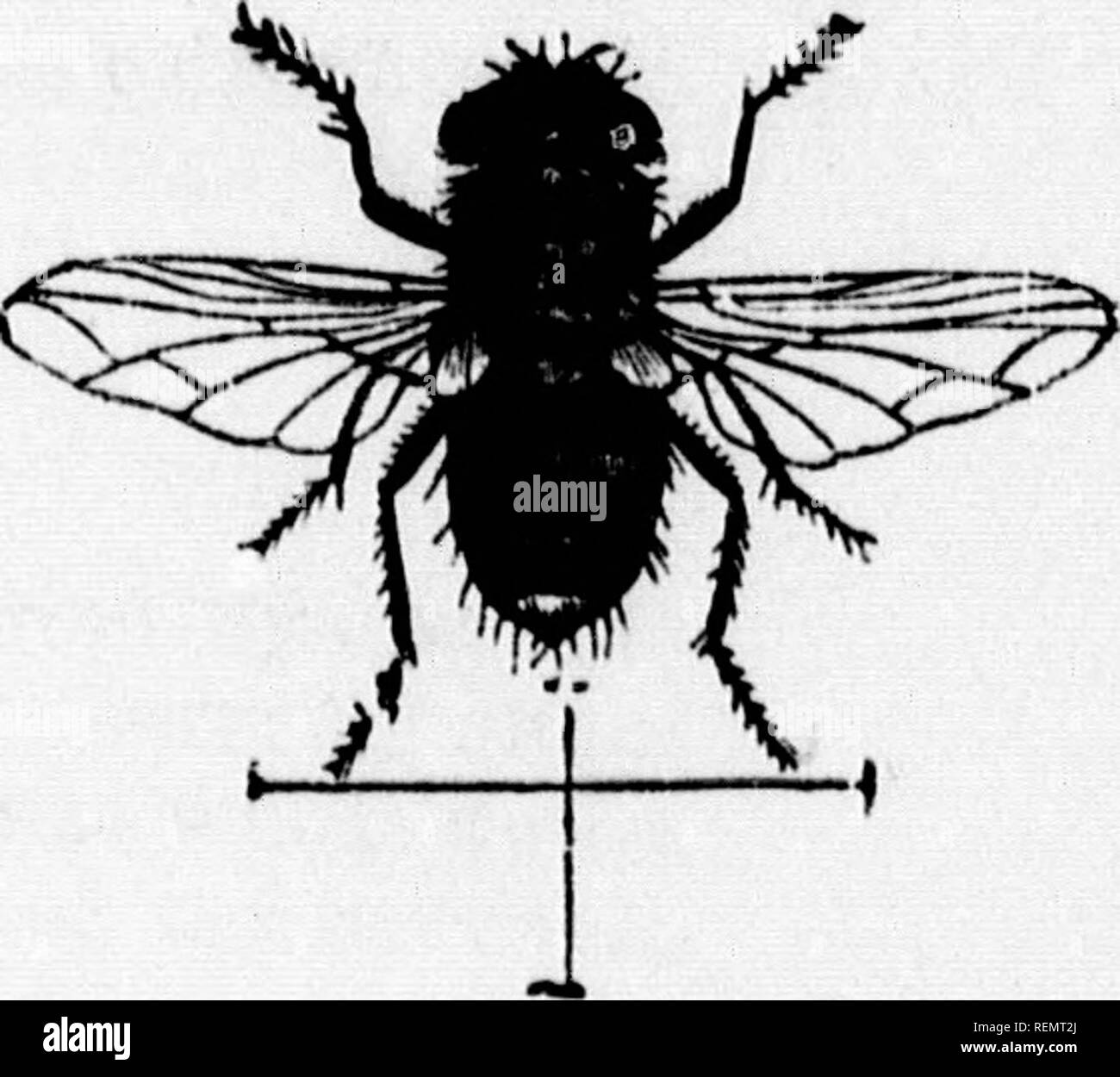 . Instructions in spraying [microform]. Spraying and dusting in ...
