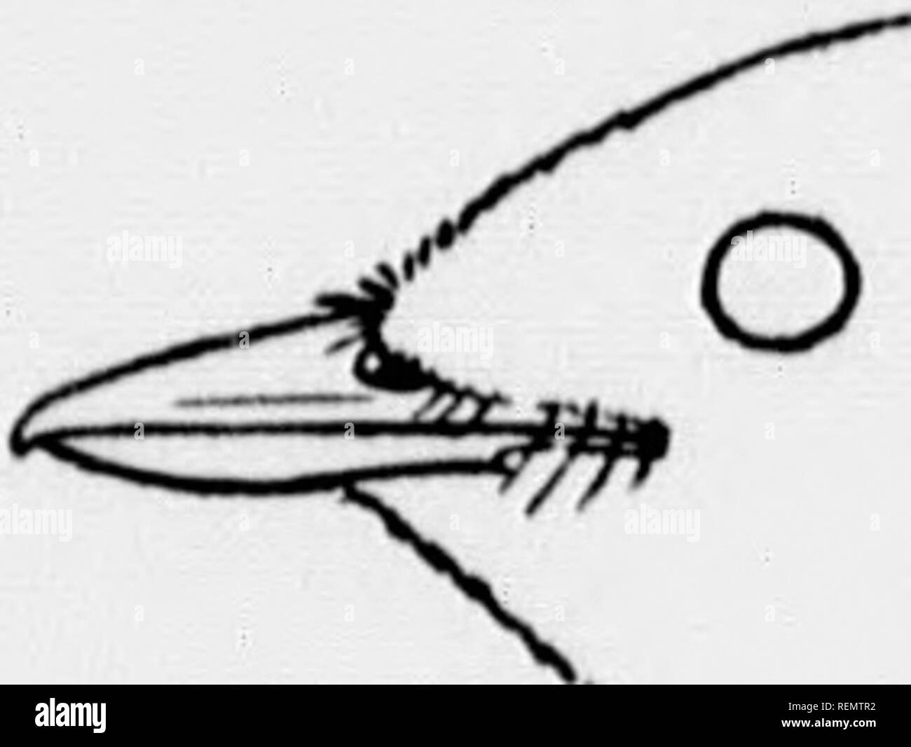 P I L Band Black And White Stock Photos Images Alamy