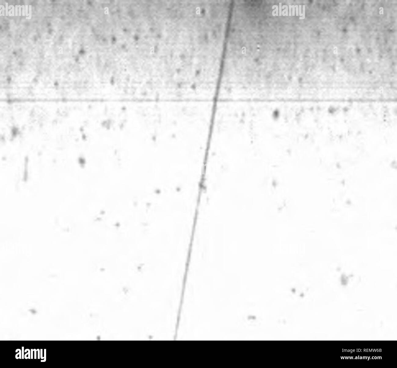 Dame Anna High Resolution Stock Photography And Images Alamy