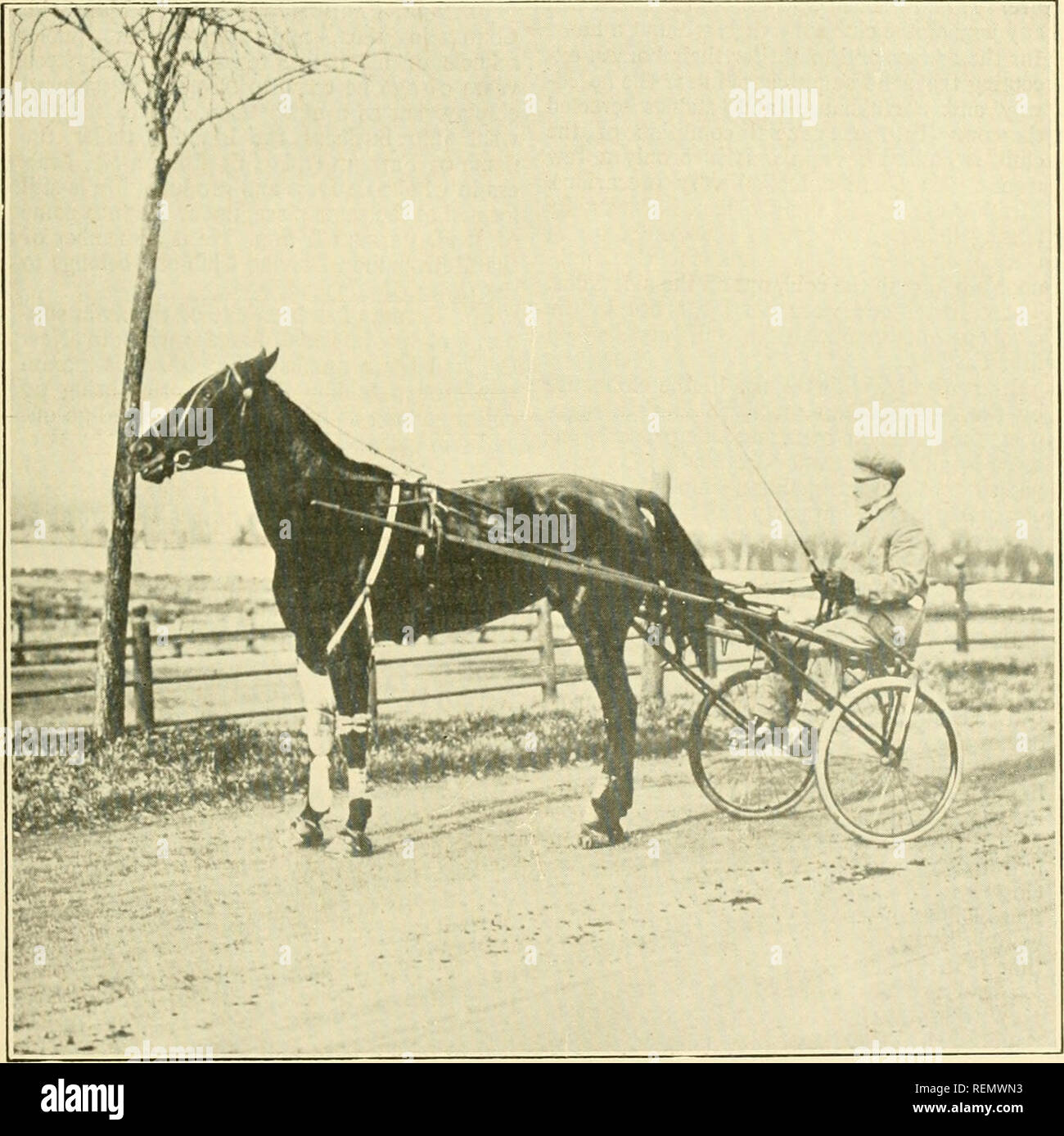 今季ブランド stock hi-res wilkes George photography 12 Page - images and ウエイトトレーニング