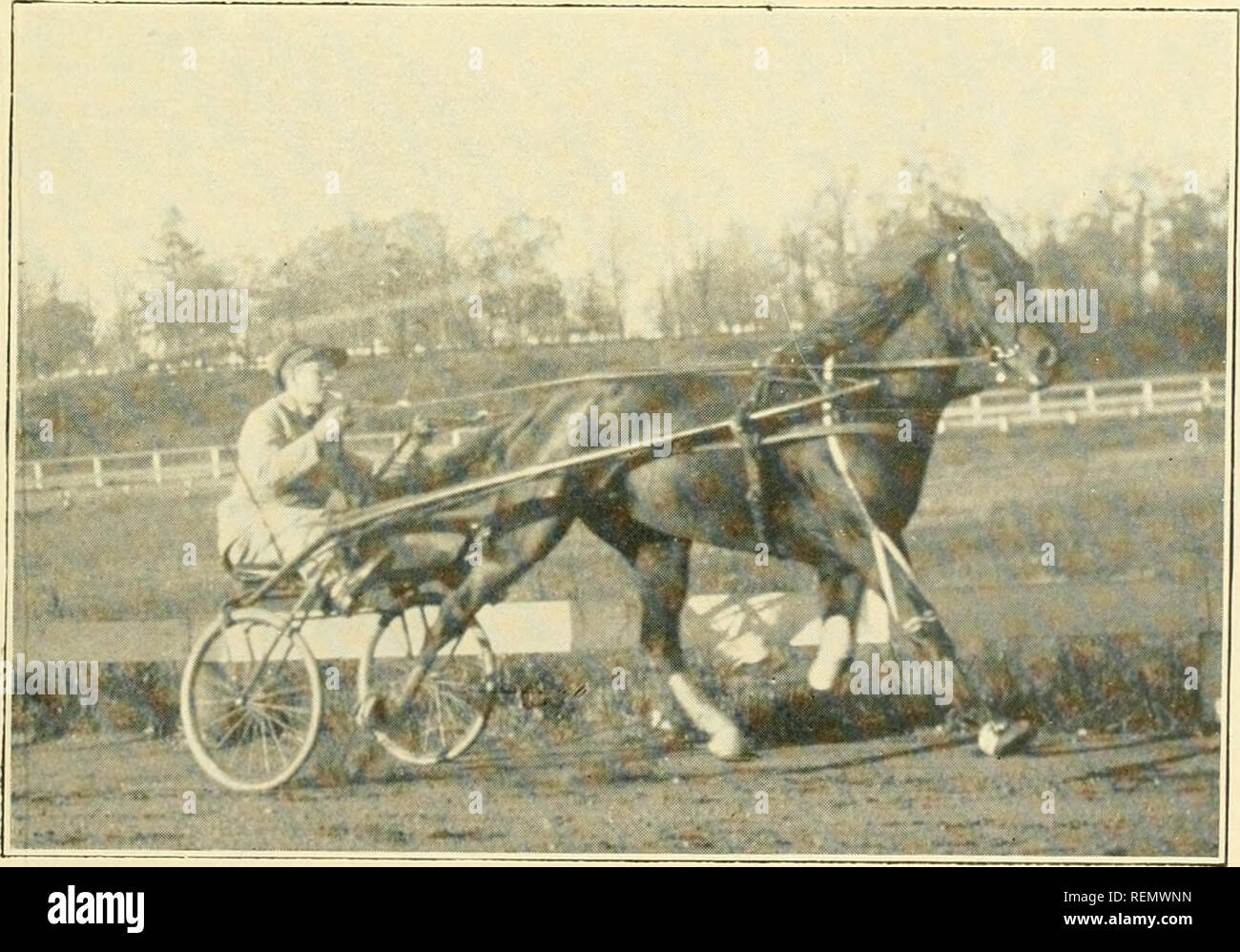 . The driving clubs of greater Boston. Horse racing; Horses. MARTHA G. (Matinee Record), 1:00 i-4 One of the Brilliant Matinee Trotters of 1914 at Charles River Speedway. Owned and Driven by John W. Ellis. MISS ZOMBRO (by Zombro) Dam, Miss Cains, Half-Sister of Sterling McKinney, 2:06 1-4. Owned and Driven by V. C. Bruce Wetmore. Please note that these images are extracted from scanned page images that may have been digitally enhanced for readability - coloration and appearance of these illustrations may not perfectly resemble the original work.. Linnehan, John William, 1860- [from old catalog Stock Photo