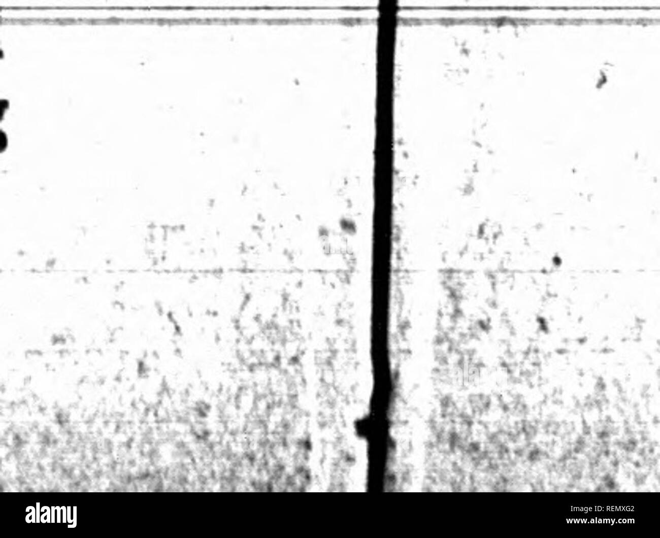 Wares goods Black and White Stock Photos Images Alamy