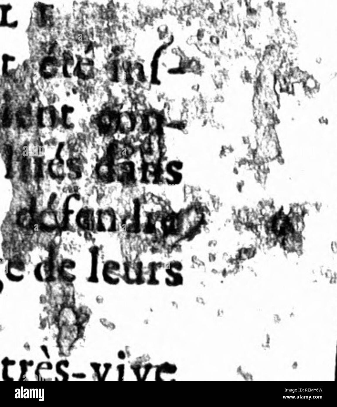 Ton tok hires stock photography and images Alamy