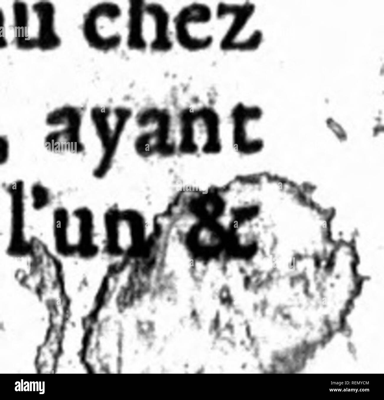 Joint medica Black and White Stock Photos & Images Alamy