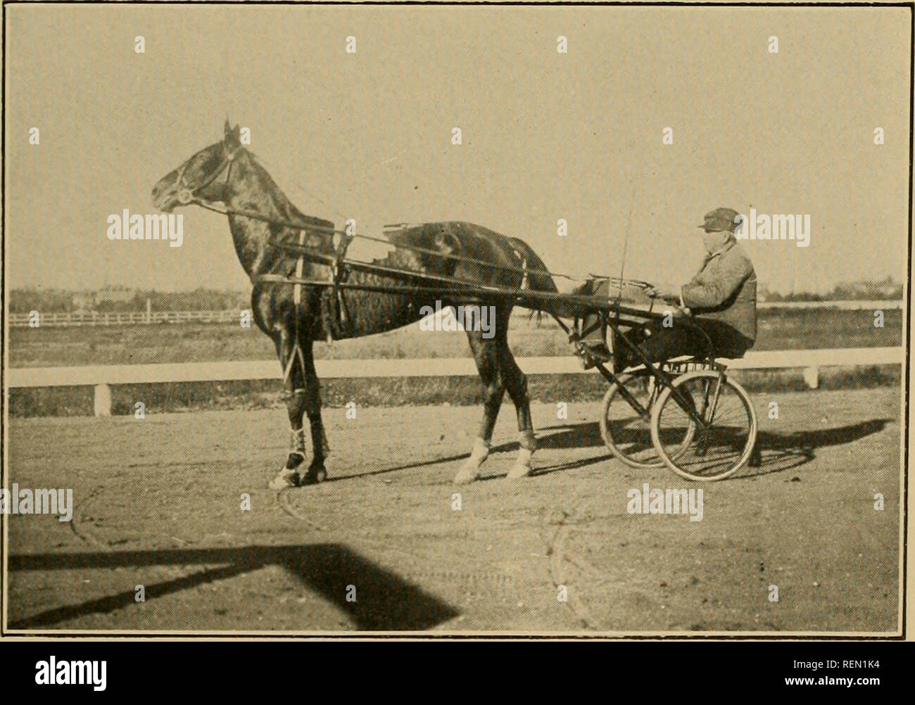 The driving clubs of greater Boston. Horses; Horse racing -- Massachusetts  Boston. MISS DE FOREST, 2:05 1-4 Champion Pacer (Fall Series 1914) at  Charles River Speedway. Owned and Driven by Frank