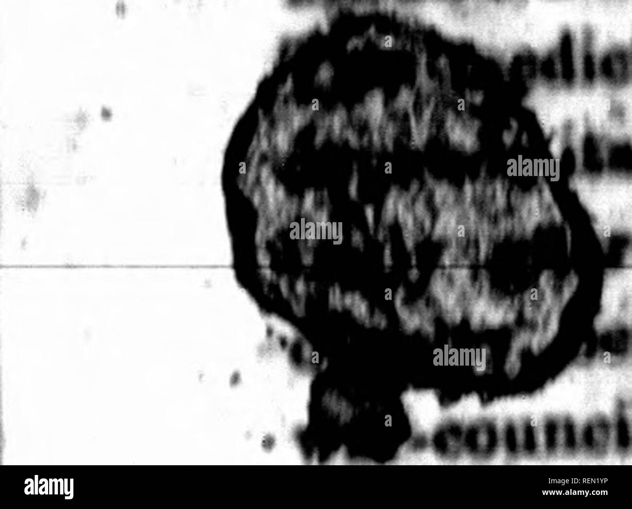 Page 399 M T O High Resolution Stock Photography And Images Alamy