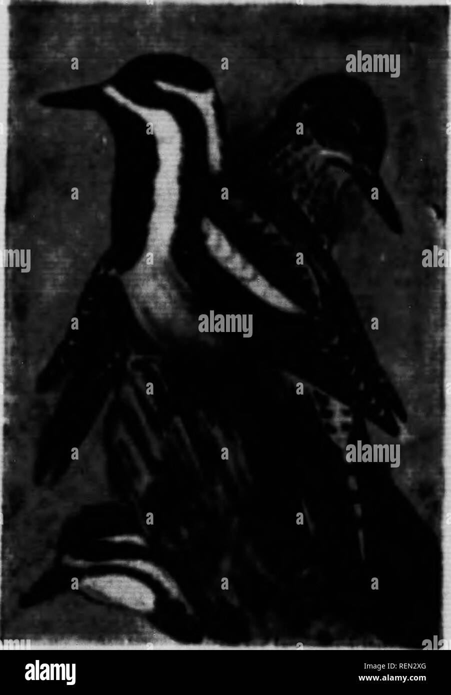 Eft Black And White Stock Photos Images Alamy