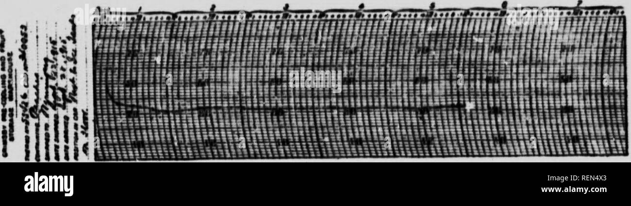 . The use of brine tank refrigerator cars for fruit shipment [microform]. Fruit; Fruits; Fruits; Fruit. i&quot;iÂ«. 91 Tfni|i*rÂ«luru nnirl, U'V nf luÂ«d of lrui% leiilro i.( lar H.T.I'. N&quot;. :iii'.iiV(. Mr. A. TI. Fliiok. Chi.f Fruit IV&gt;min. .11 . :isp.&lt;-t..r for thr fV'iri. I'rnviiic-. iiis|Mrtf&lt;l tiu' Hhiimu'iiW am! ri|M.rUil tlmt tlicv iirriMcl tlirr.- in j.. rf.Mt .â¢.iii&lt;lili..ii. No injury whntcviT wn* In !'i li)w u:&lt; i^ .prdlmirilv MTiirci In rifritr.r.it..r Hiii|inirnt-^. (V,,.i..H ..t iturniojrri.tiH ri^-ord- nrc lionwitli -lii.wti, witli tlw .â¢.x.,iiti..ii ..f tl Stock Photo