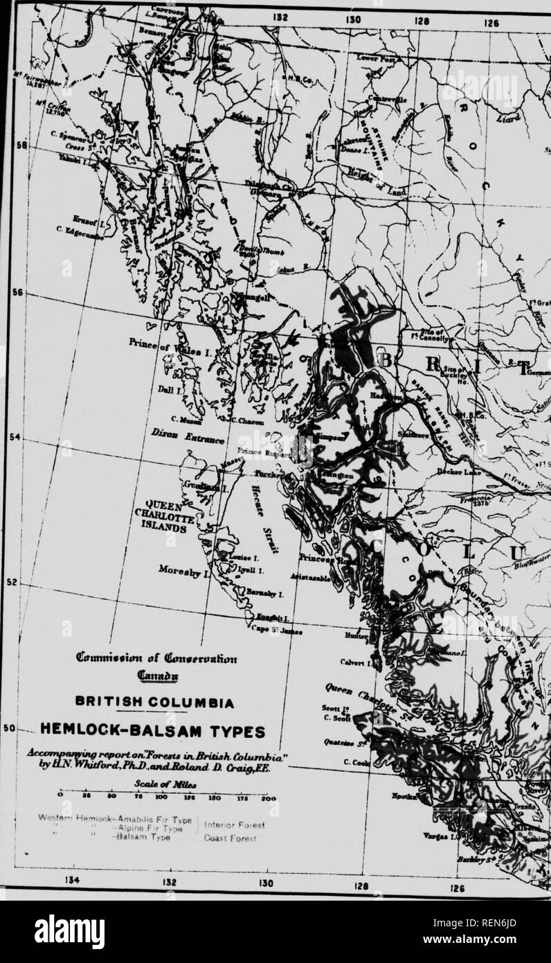 . Forests of British Columbia [microform]. Forests and forestry; Forêts. so HEMLOCK-BALSAM TYPES ^&quot;^'V'fV^'iipoH.oiCTarauuiBritiaKColumhi by ON Whurord,FIU).miUtalajui O. OxugiEE. ScaltifMlUt o H M rs &quot;m in iu ST&quot; ioo W.-stnr&quot; M»fr.iov-,l(-*miti.lis Fir TvM , . , -Bjlsif.1 Tyu» Coast rofest —i rsi. Please note that these images are extracted from scanned page images that may have been digitally enhanced for readability - coloration and appearance of these illustrations may not perfectly resemble the original work.. Whitford, Harry Nichols; Leavitt, Clyde; Craig, Roland D. , Stock Photo