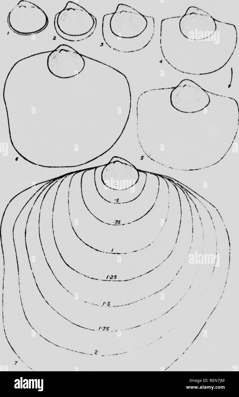 Vh 1 Black and White Stock Photos & Images Alamy