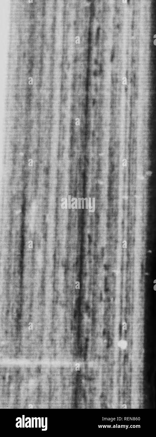 K 8e High Resolution Stock Photography And Images Alamy