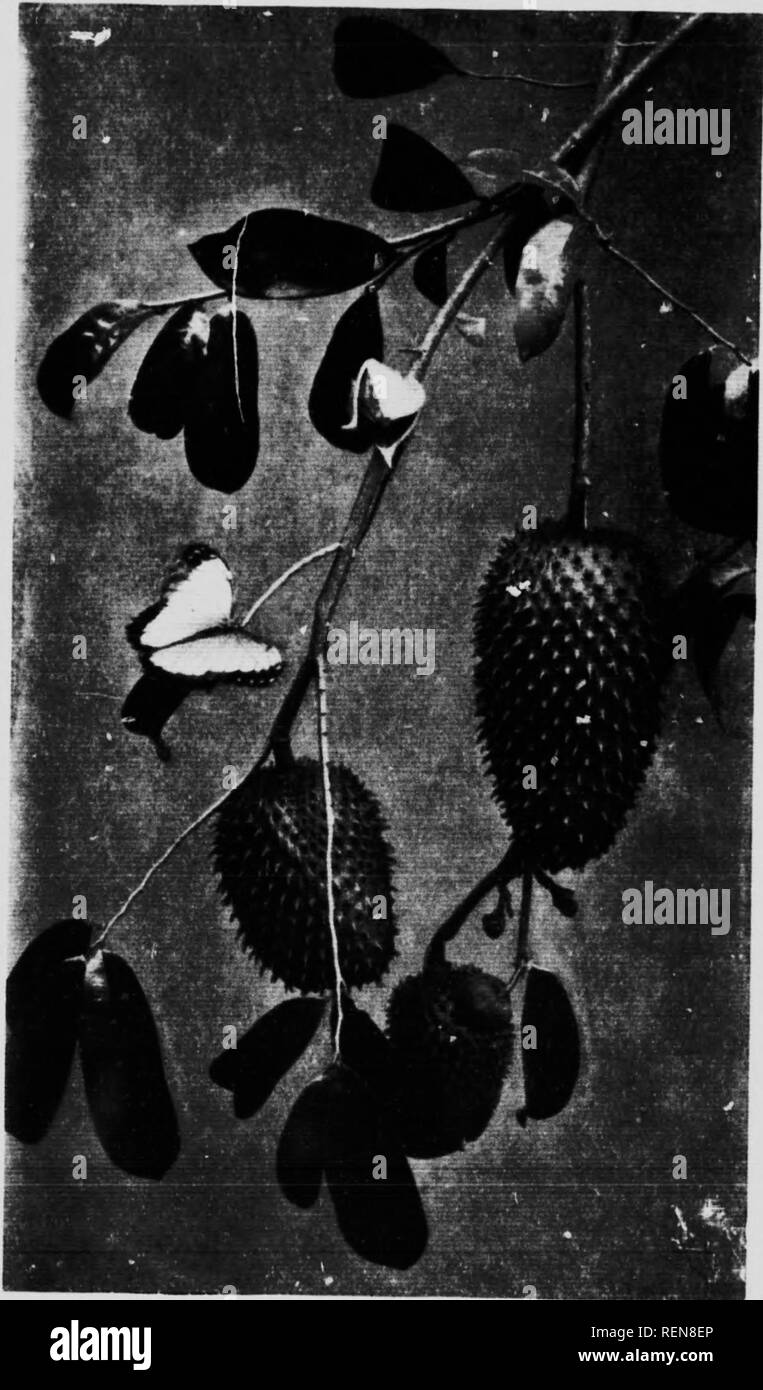 page 12 1 iti high resolution stock photography and images alamy