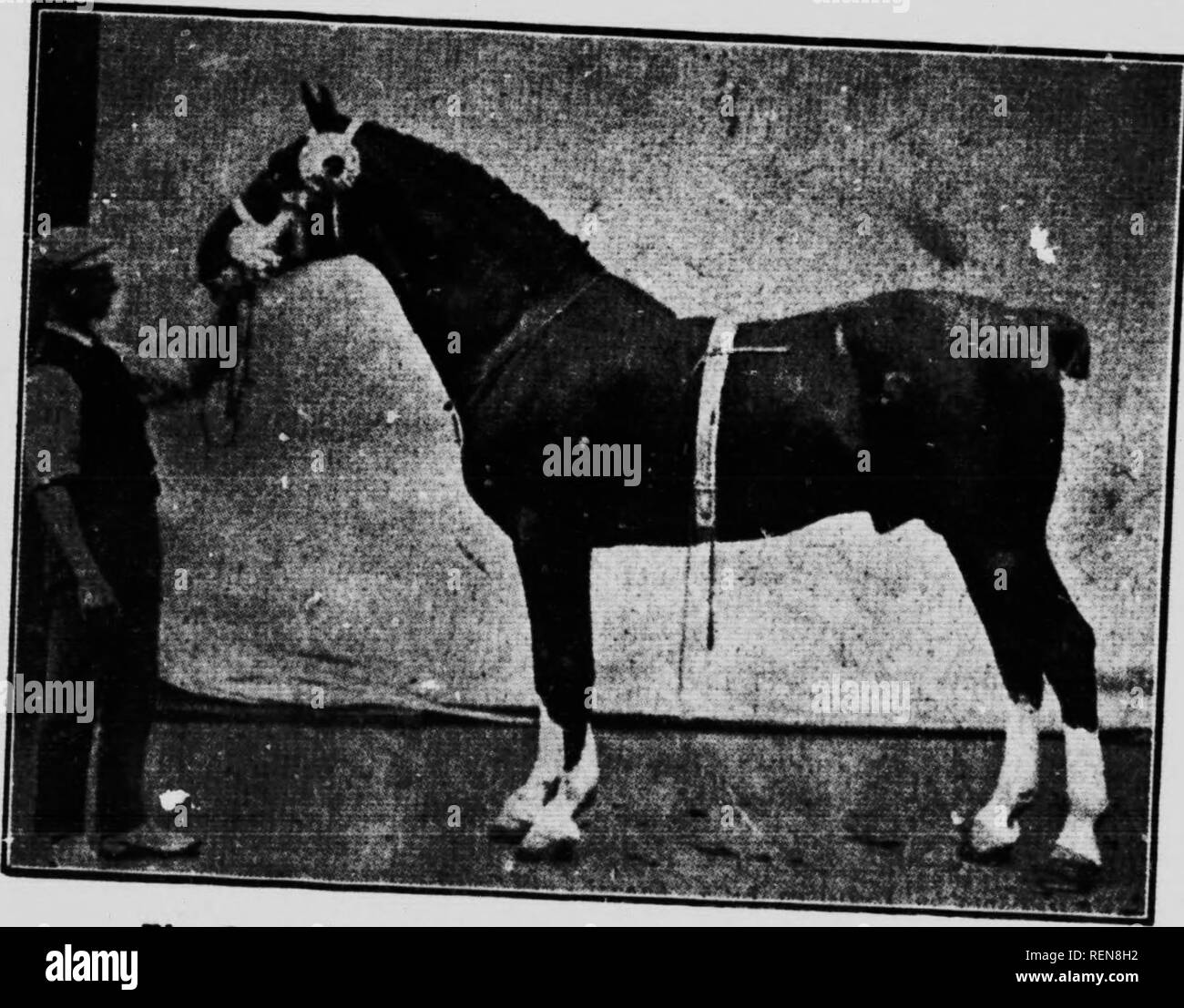 Eme Black And White Stock Photos Images Alamy