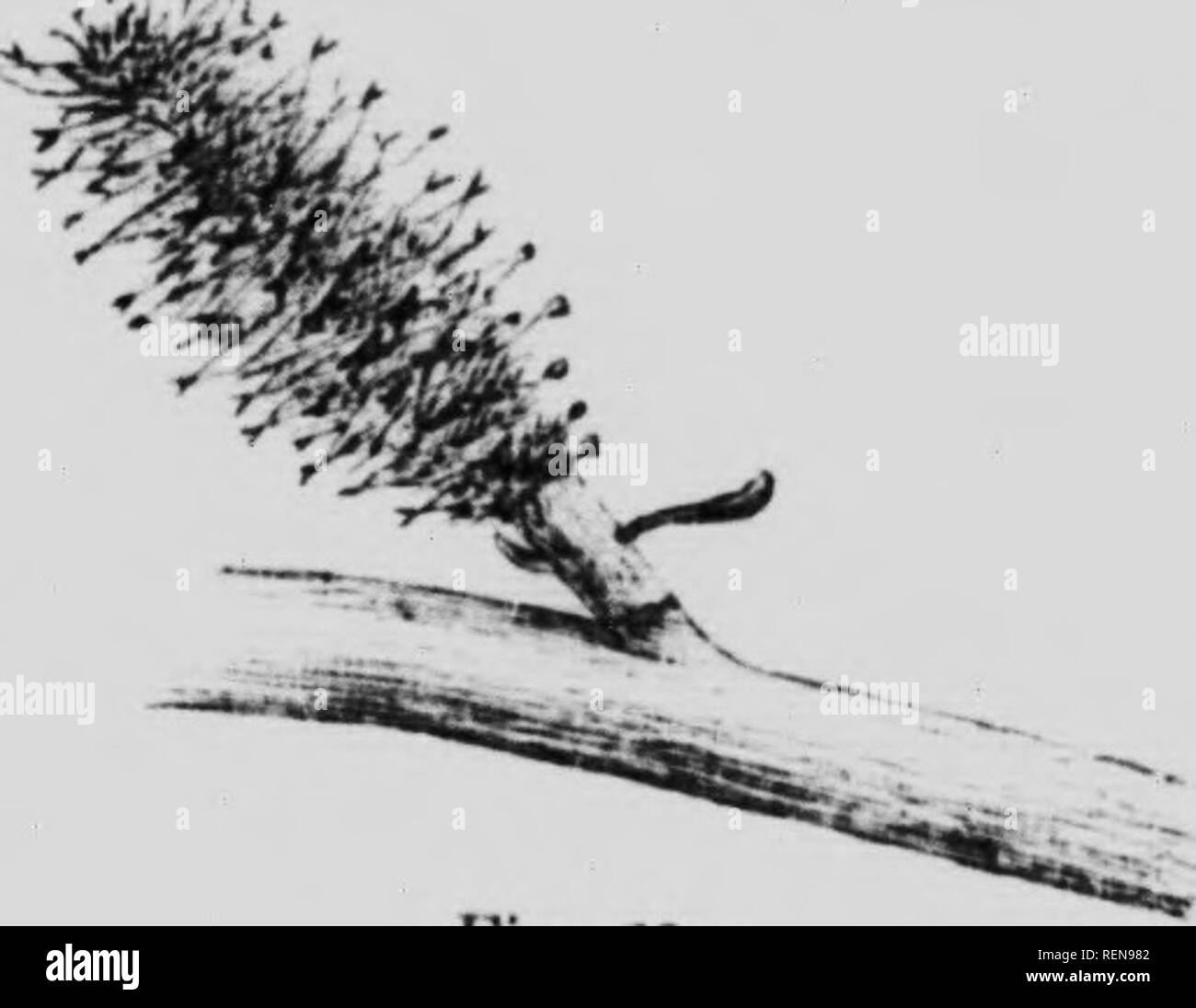 Page 3 7f I High Resolution Stock Photography And Images Alamy