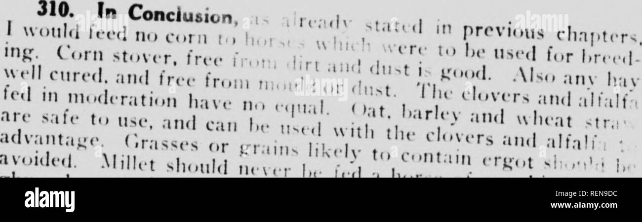 Studies In Horse Breeding Microform An Illustrated Treatise On The Science And Practice Of Horse Breeding Chevaux Horses Horses Chevaux A A A R Kisf Till Mrtksi U I M Nn Nr L V Quot Quot Quot Quot Quot Quot