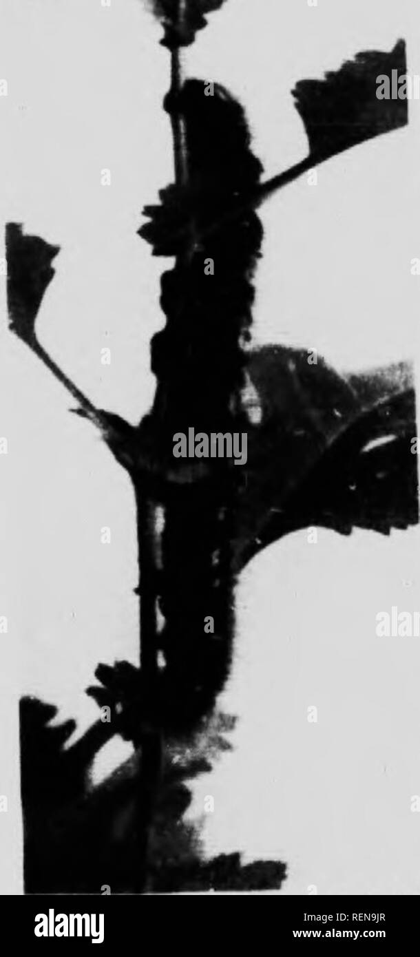 Th C U High Resolution Stock Photography And Images Alamy Th C U High Resolution Stock Photography And Images Alamy