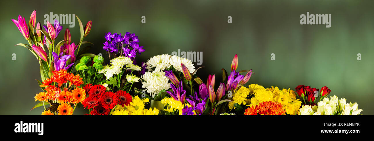 Panoramic Display Of Mixed Fresh Vibrant Flowers On Blurry Green