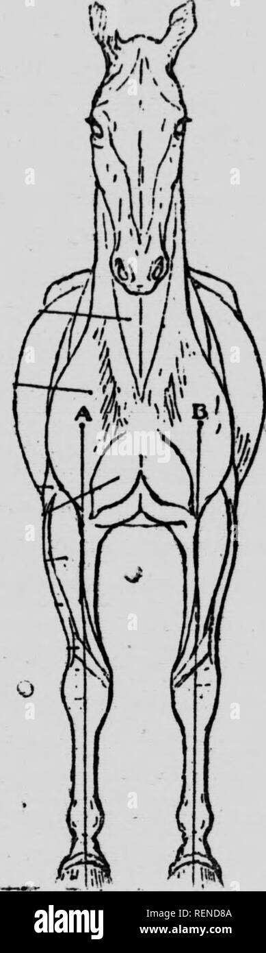 Pend Black And White Stock Photos Images Alamy