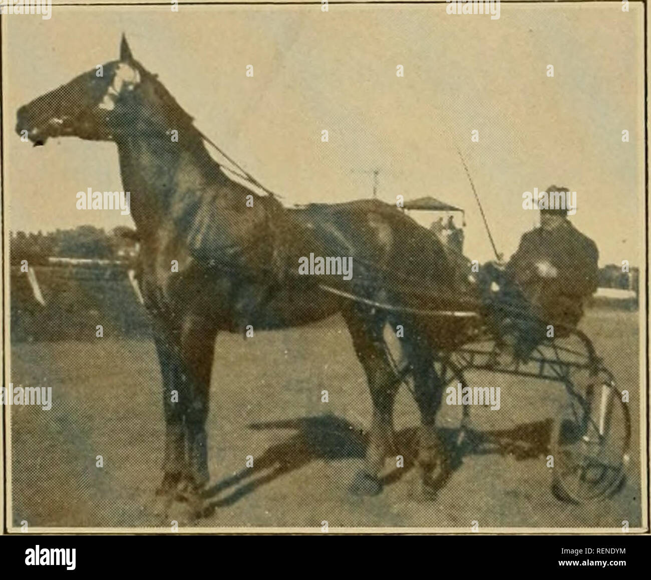 . The driving clubs of greater Boston. Horses; Horse racing