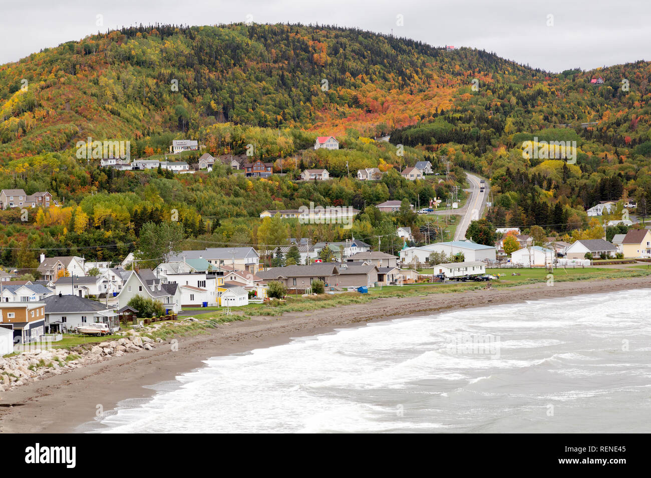 Trees with fall colours on a hillside on the Gaspé Peninsula of Quebec, Canada. Houses front the beach. Stock Photo