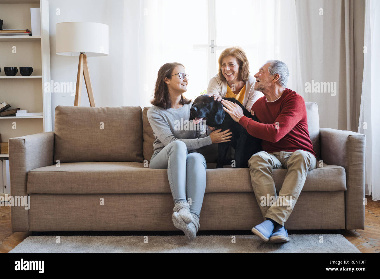 A senior couple with a teenage girl sitting on a sofa with dog at home. Stock Photo