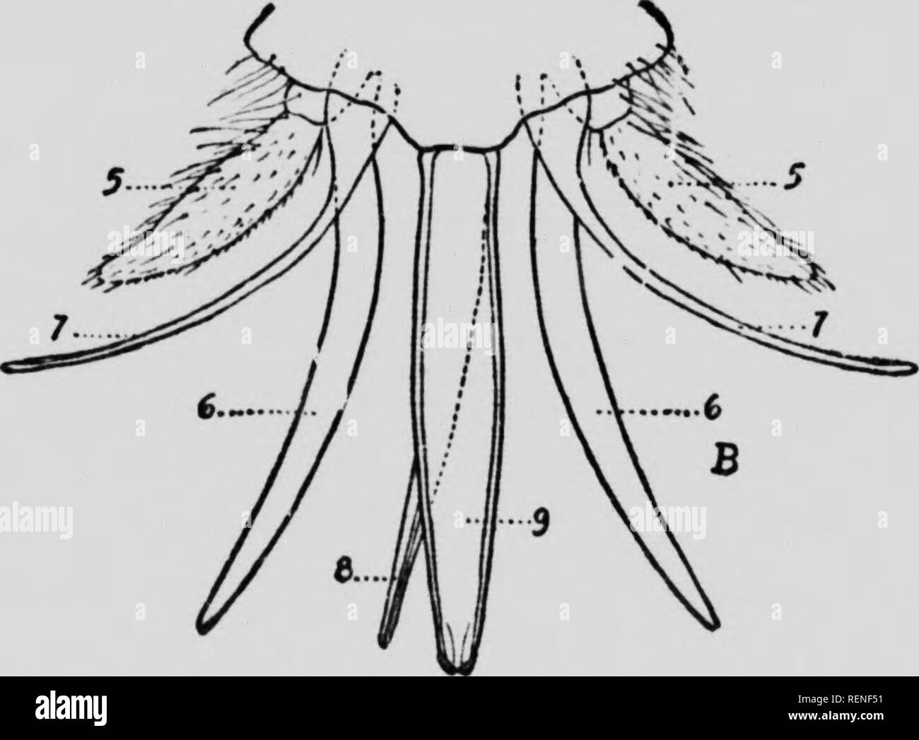 Ulte High Resolution Stock Photography And Images Alamy
