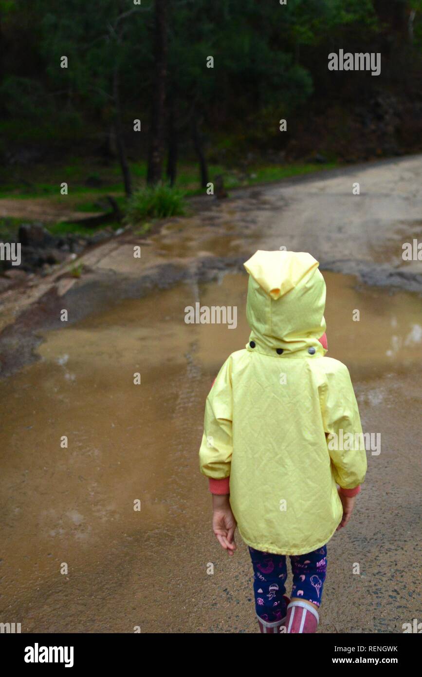 A child walking along a four wheel drive track through a forest, Mia Mia State Forest, Queensland, Australia Stock Photo