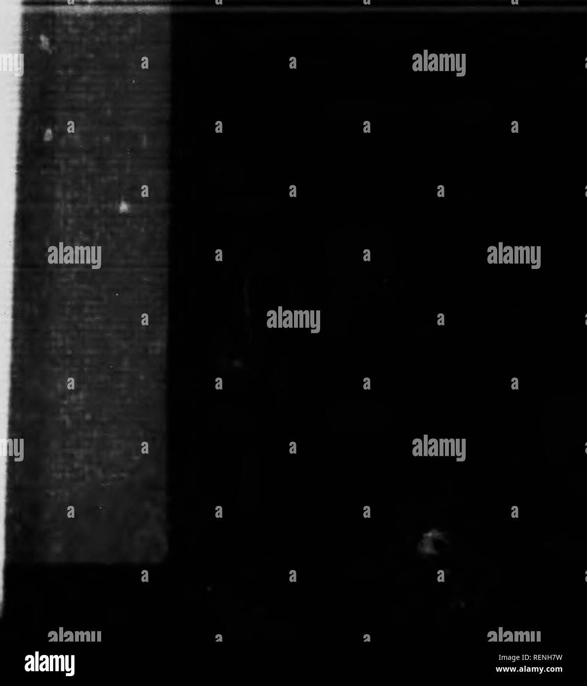 eglantine créations