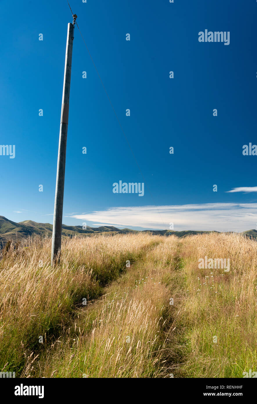 Lone post by a farm track on Banks Peninsula, New Zealand Stock Photo