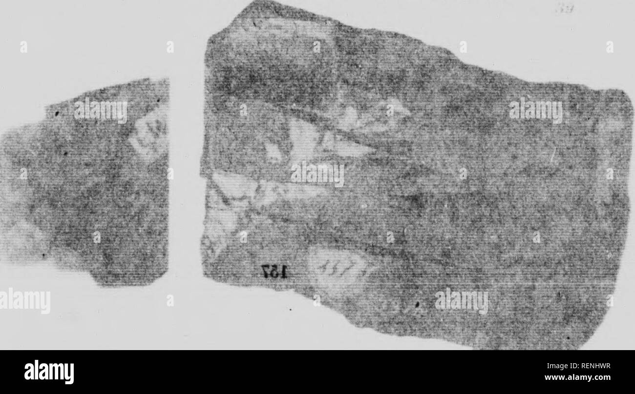 Ios 7 Black And White Stock Photos Images Alamy