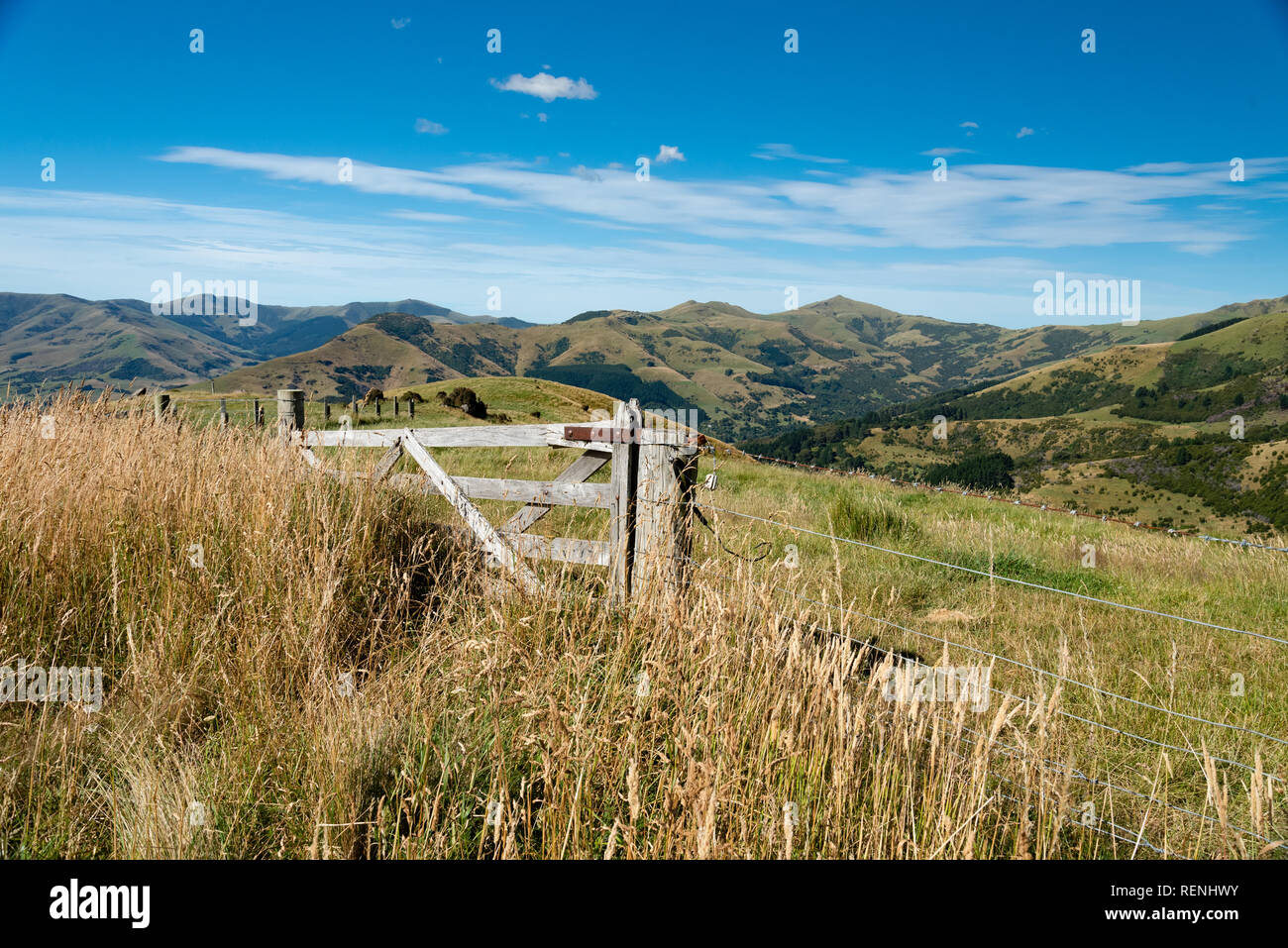 Banks Peninsula hill farm, South Island, New Zealand Stock Photo Alamy