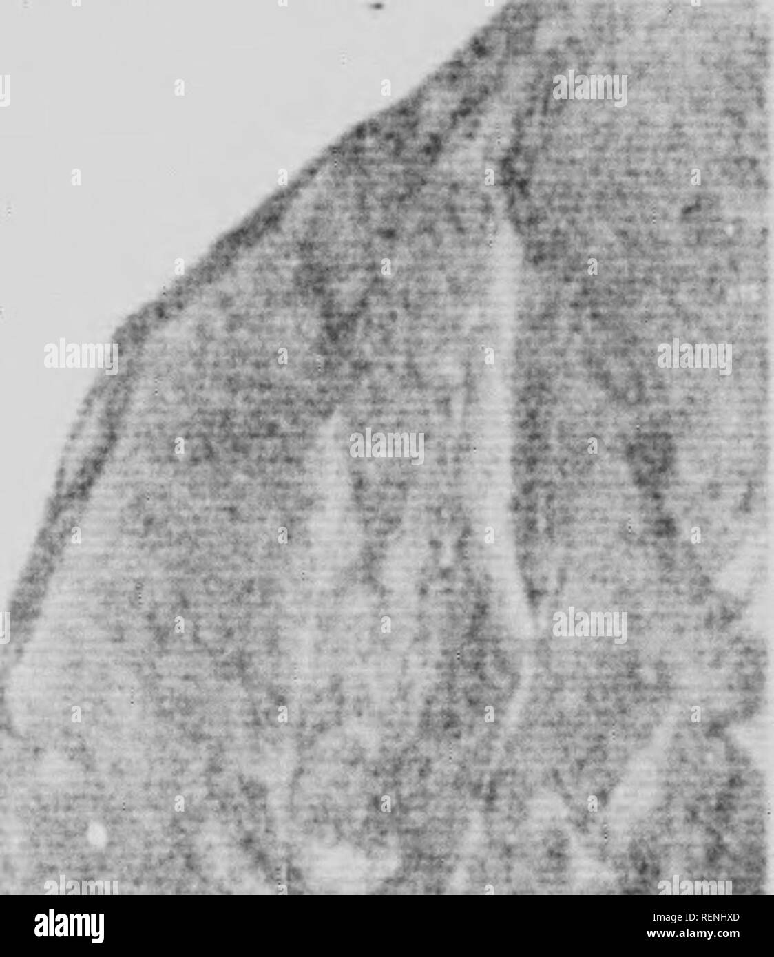 ü nn Black and White Stock Photos & Images - Page 3 - Alamy