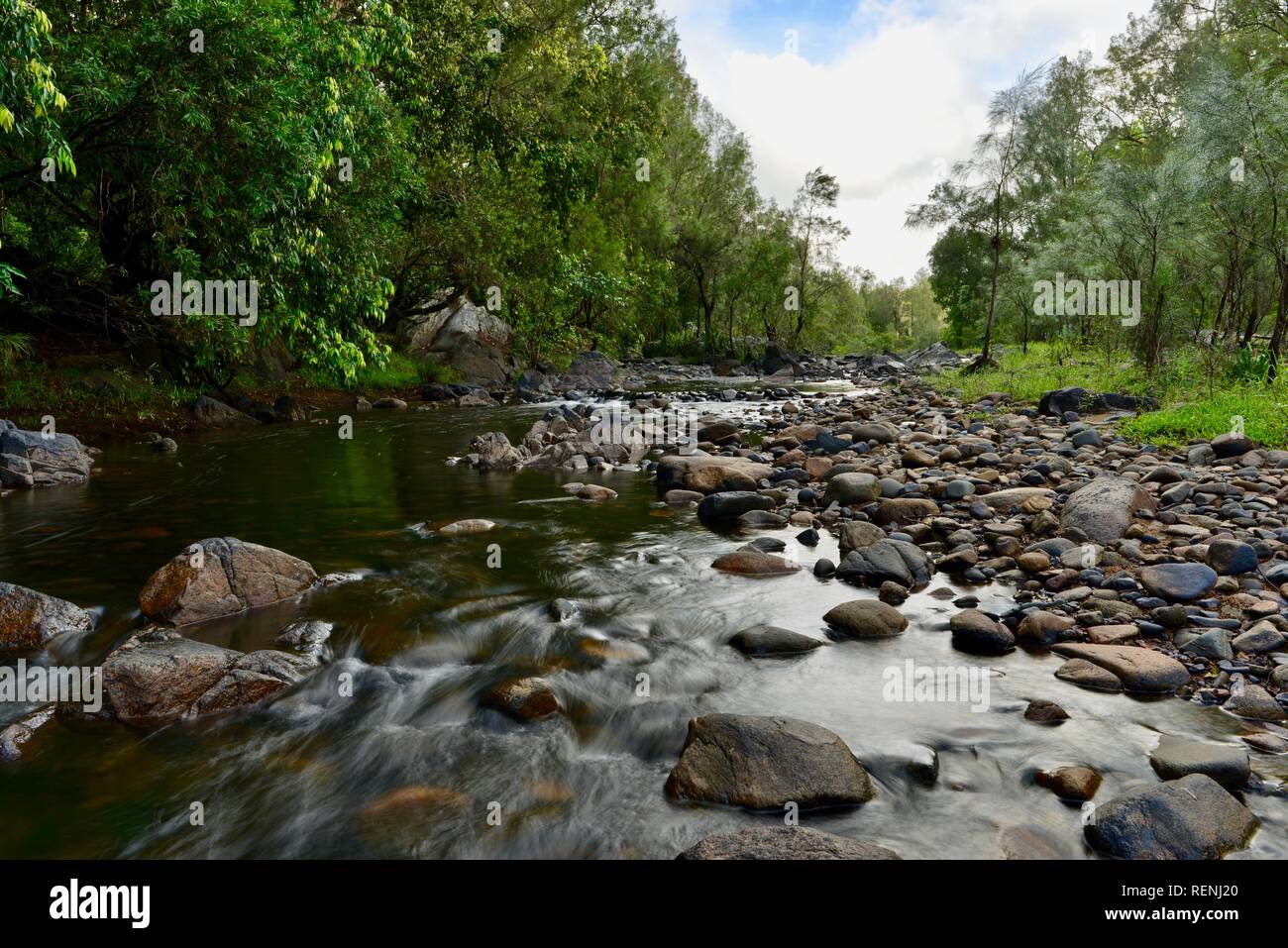 Teemburra Creek flowing calmly in December 2018, Mia Mia State Forest, Queensland, Australia Stock Photo