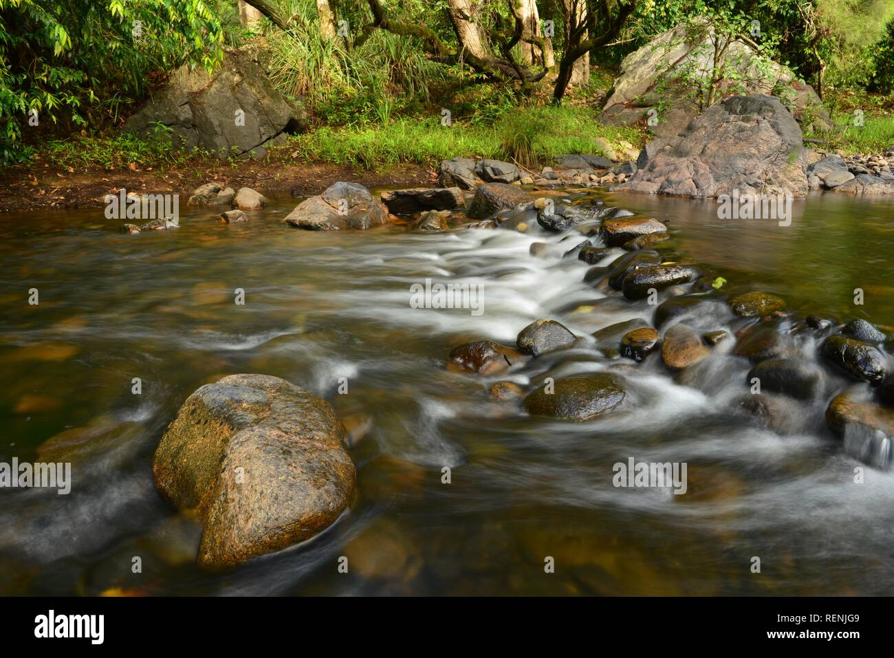 Teemburra Creek flowing calmly in December 2018, Mia Mia State Forest, Queensland, Australia Stock Photo