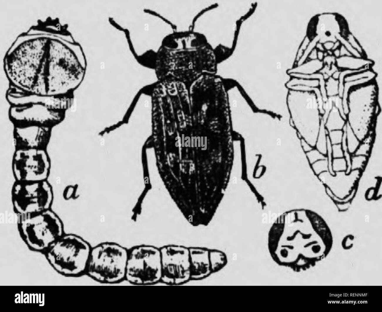 Nto triangular hi-res stock photography and images - Alamy