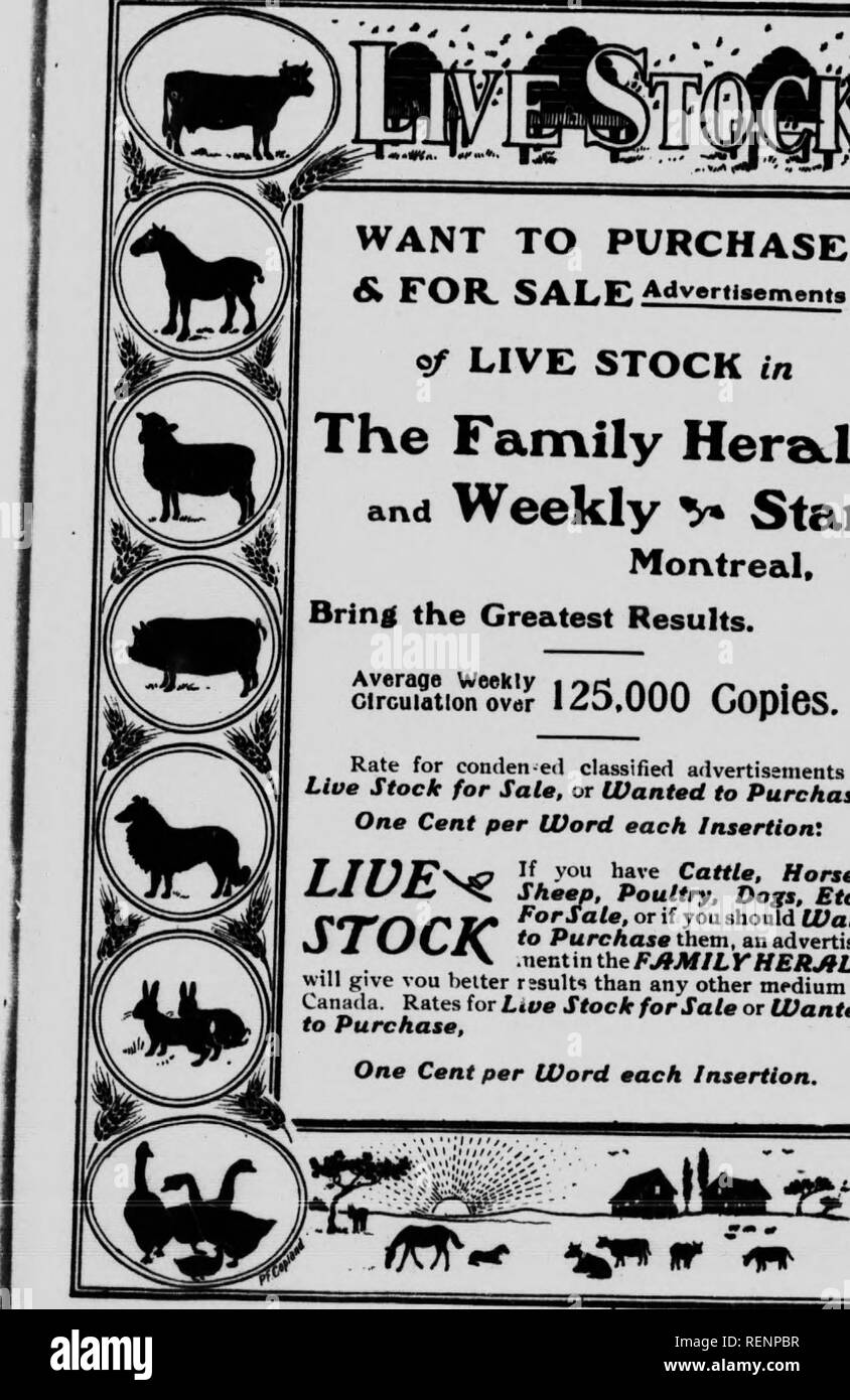 . Flowers of the field and forest [microform]. Fleurs sauvages; Botany; Botanique; Wild flowers. WANT TO PURCHASE &amp; FOR. SALF, AdverlLement. Of LIVE STOCK in The Family Heratld and Weekly v Star, Montreal, Bring the Greatest Results. crroulatloToJir 123,000 COplGS. Rate for condeneil classified ailvertisements of Live Stock for Sale, or Wanted to Purchase, One Cent per Word each Insertion: If you have Cattle, Horses, Sheep, Poultry, Dogs, Etc., ptT'/^ /^ E/Â» '''&quot;â 'Â»Â«'/Â«, or if you should Want J / C/L.iC to Purchase them, an advertiae- ., . '&quot;X .nenUnthe FJtMItrHEKJtLD will g Stock Photo