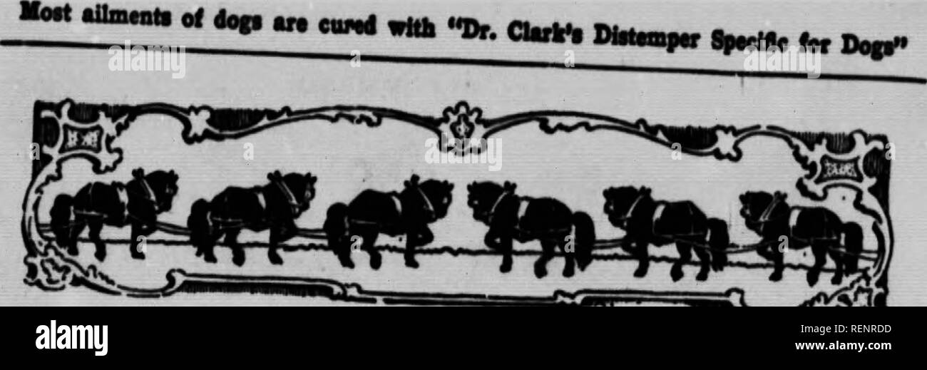 . The vet. book, or, Animal doctor [microform]. Horses; BÃ©tail; Chevaux; Veterinary medicine; Livestock; MÃ©decine vÃ©tÃ©rinaire. BVBRyBODY PRAiSBS THOSE RELIABLE Dr. Clark's VETERINARY REMEDIES DÂ«.Siâ: my ARK &quot;IBE best; WALTER BRINDNETT. CUSED BIO LEO Gentlemen: n uu j Â« I have used your Dr. Clark', White Ltaim^.' ^'fi' ^^h ''â¢ 'Â®&quot;- best preparation on the marKrVn^rnlf^&quot;' and found it to be the big leg Lid used your WWto uimÂ«t nn lâ¢Ti  ''*'' * &quot;&quot;*&quot; *'Â»' Â» swelling. I always keen ft bntfl.âi?^JViÂ°T*' &quot;&quot;* '* 'Â°Â°&quot; reduced the the best ^Yo Stock Photo