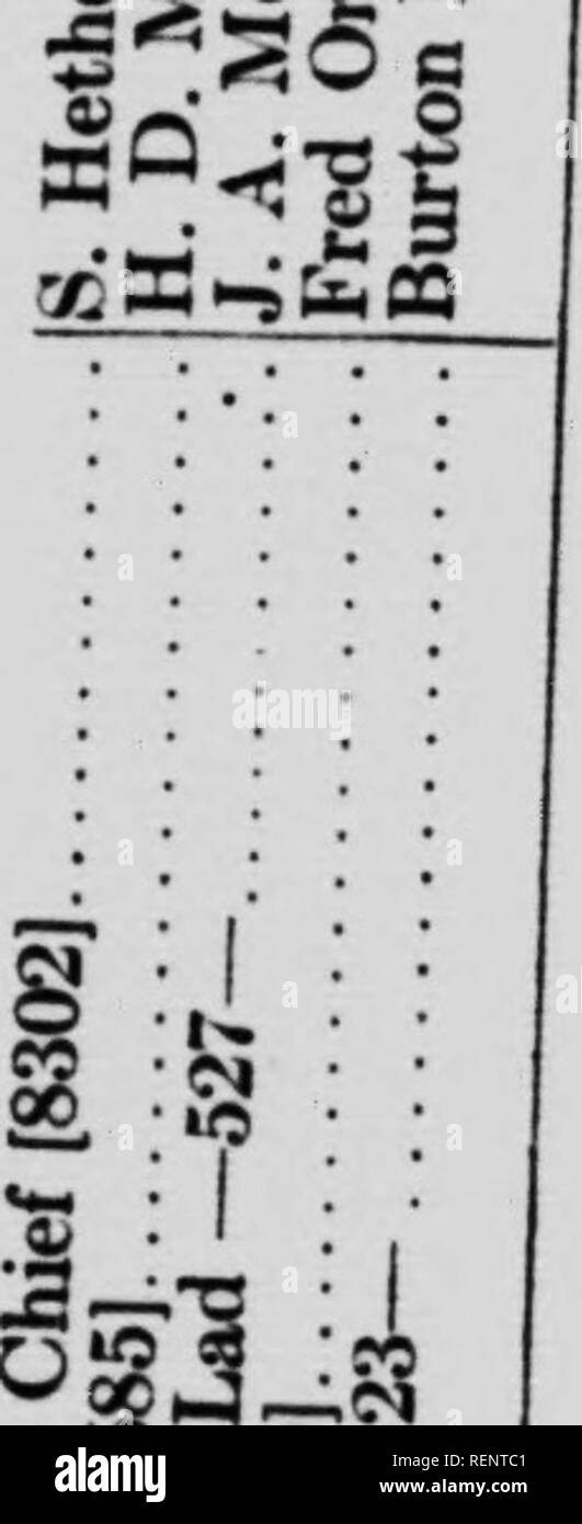 Tsaa High Resolution Stock Photography And Images Alamy