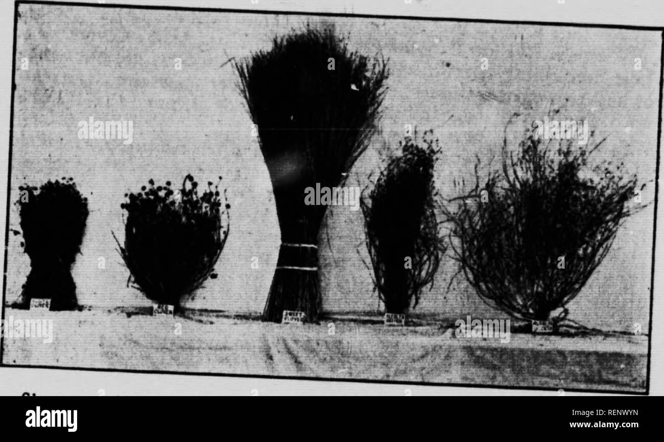 D I Y Waste High Resolution Stock Photography And Images Alamy