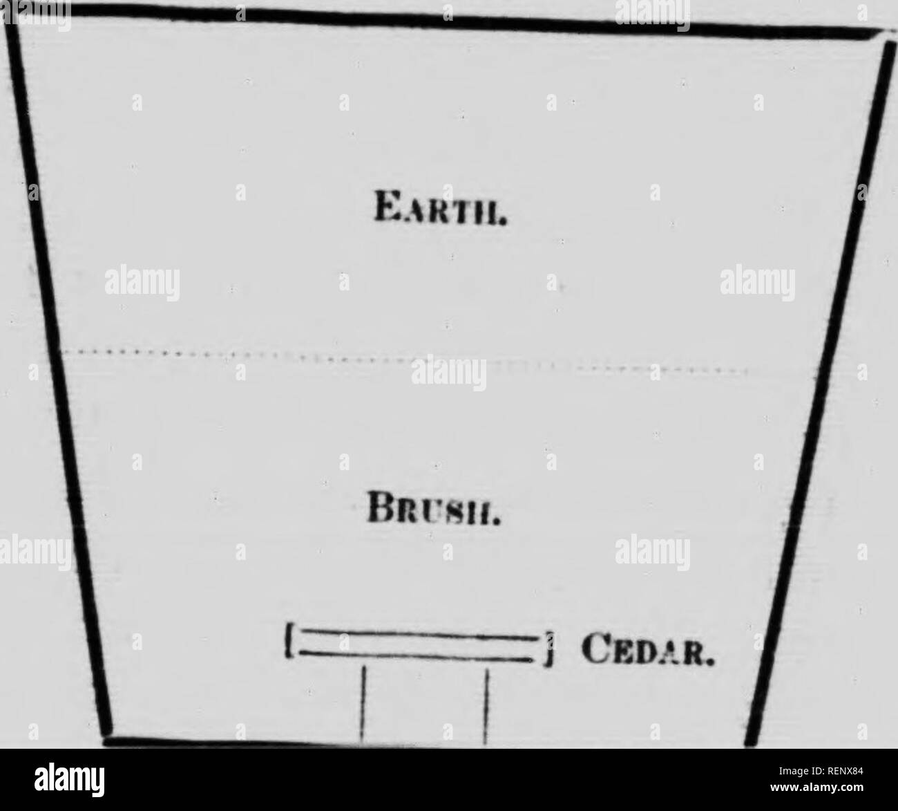 Page 343 N A R T High Resolution Stock Photography And Images Alamy