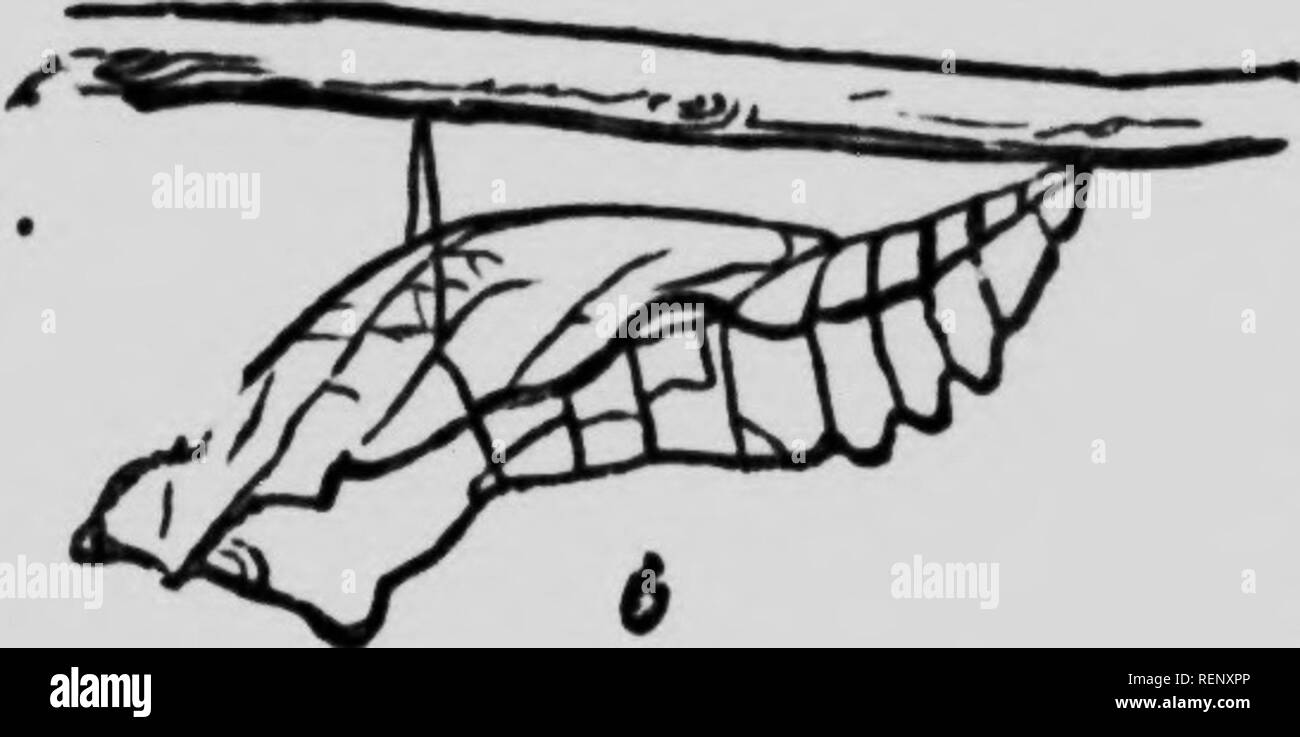 Page 2 Ssss High Resolution Stock Photography And Images Alamy