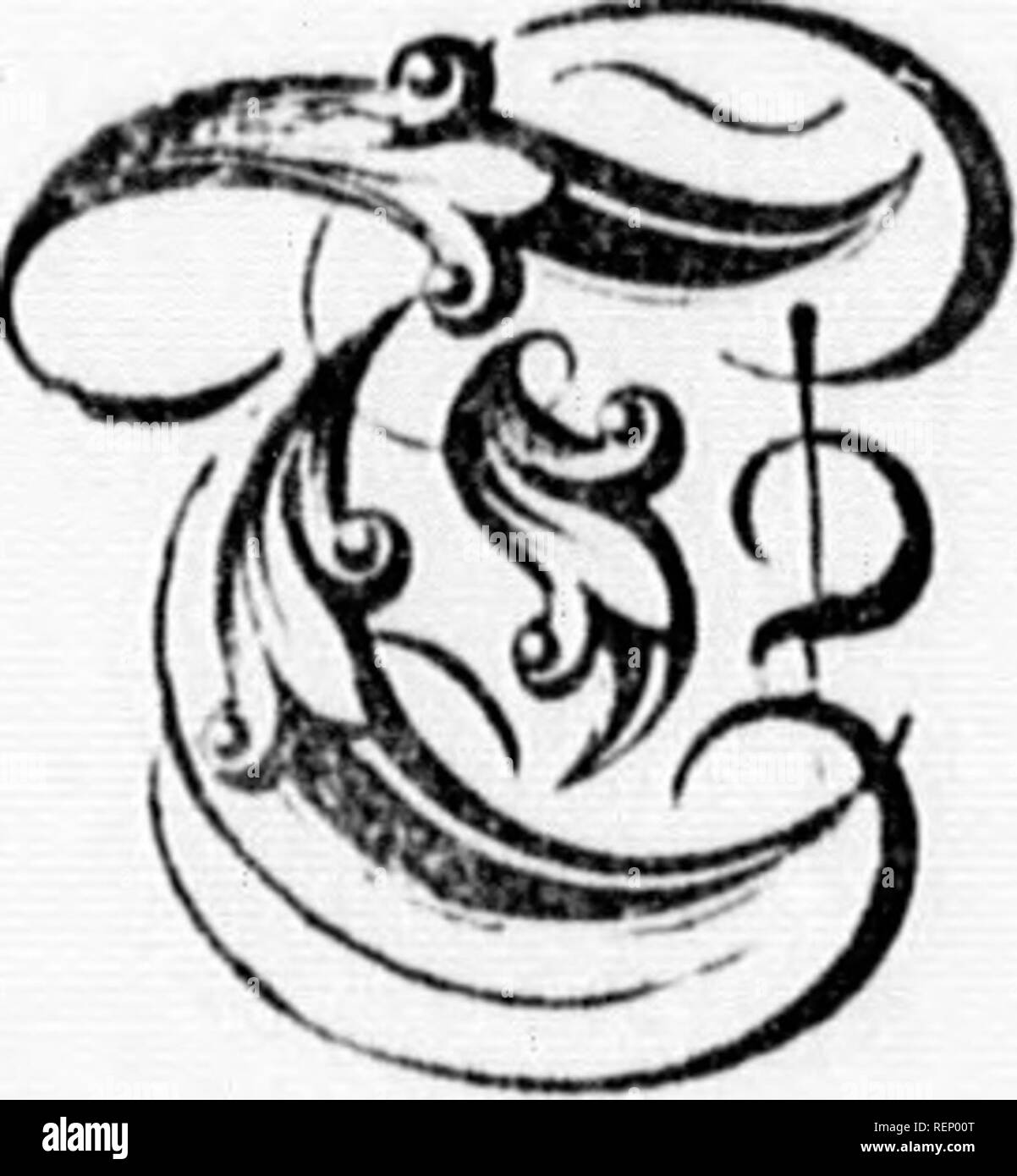 Flanera hi-res stock photography and images - Alamy Flanera hi-res stock photography and images - Alamy