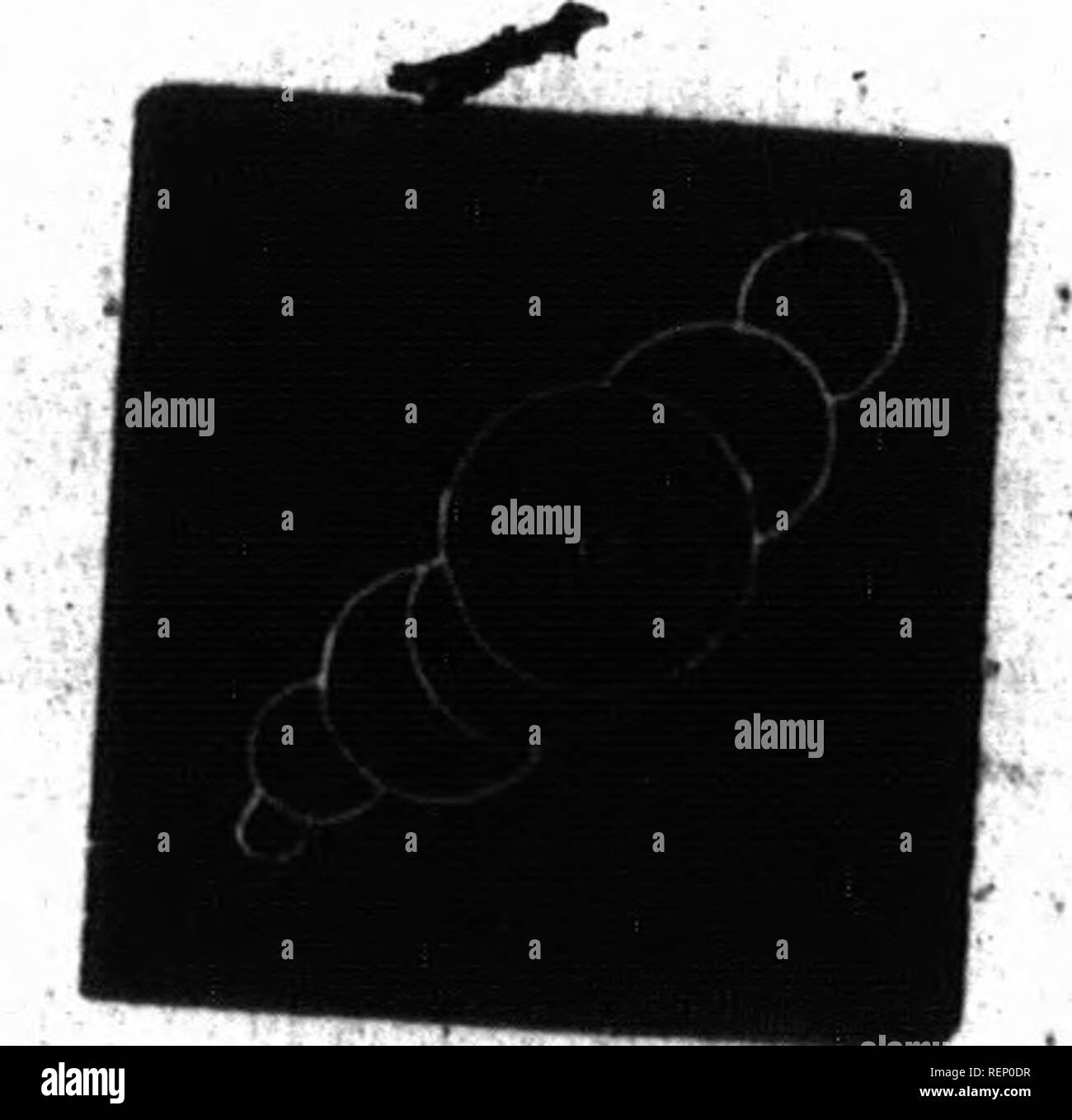 70 71 Black And White Stock Photos Images Page 3 Alamy