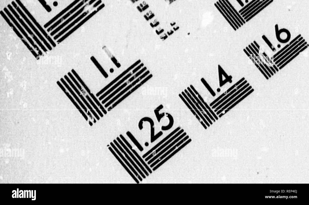 Canadian raptores hires stock photography and images Alamy