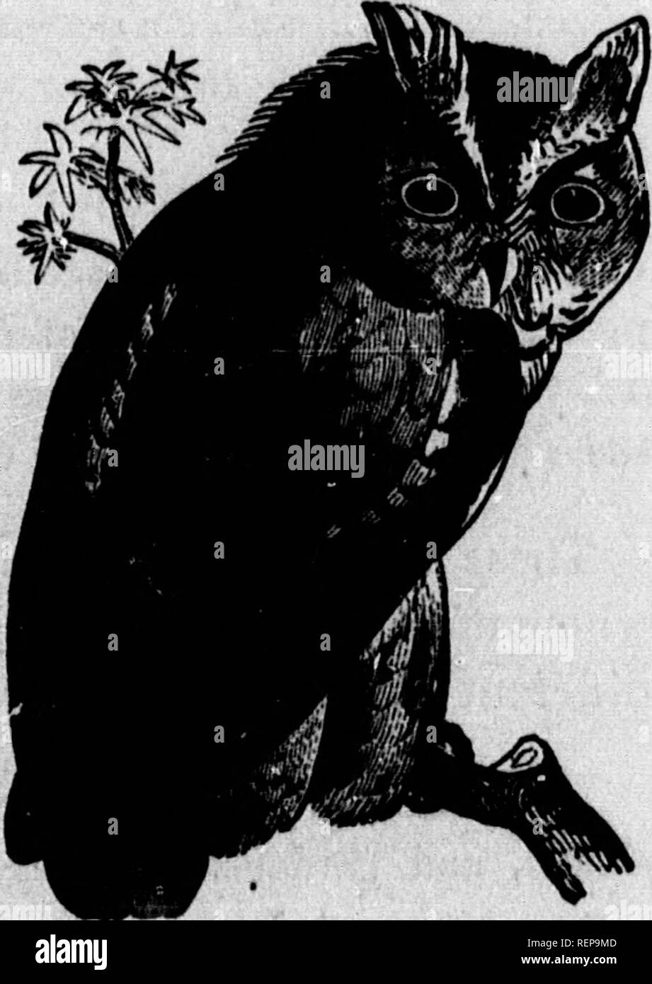 Nine provinces Black and White Stock Photos & Images Alamy